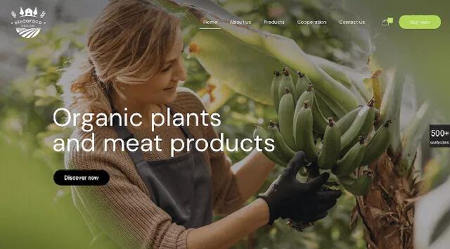 2020年的5大網(wǎng)頁設(shè)計趨勢將伴隨我們 2020年的5大網(wǎng)頁設(shè)計趨勢將伴隨我們